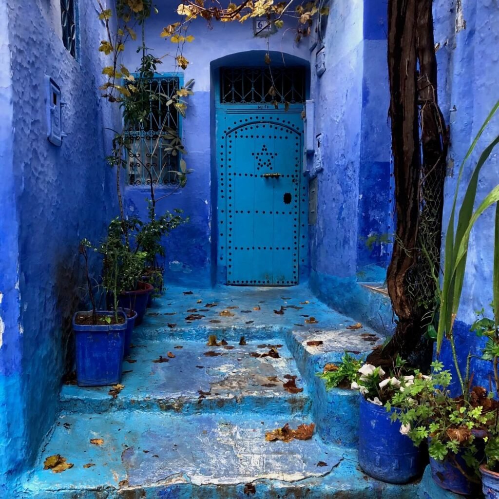 Bright blue door surrounded by vibrant blue walls, potted plants, and fallen leaves in a charming narrow alleyway, showcasing traditional Moroccan architecture in Chefchaouen.