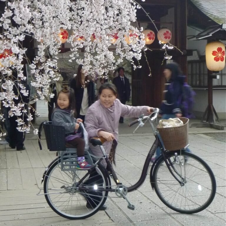 Kyoto grandmother and girl enjoying a bike ride beneath blooming cherry blossoms, surrounded by Japanese lanterns at a cultural festival.