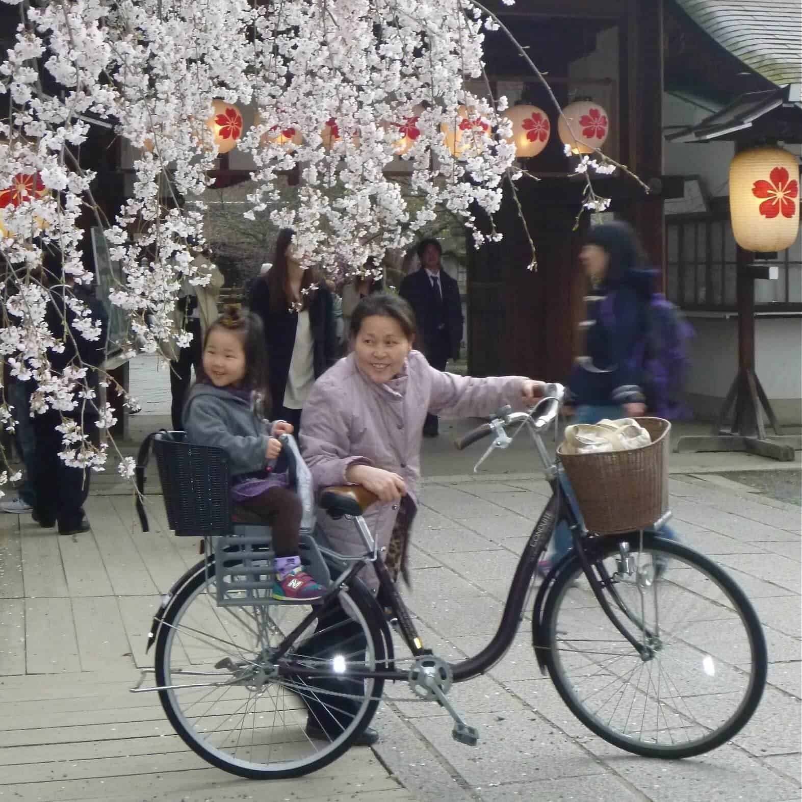 Kyoto grandmother and girl enjoying a bike ride beneath blooming cherry blossoms, surrounded by Japanese lanterns at a cultural festival.